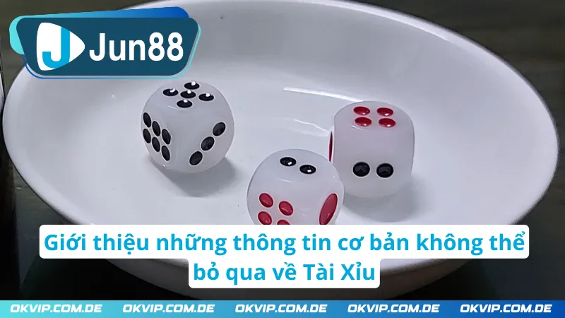 Giới thiệu những thông tin cơ bản không thể bỏ qua về Tài Xỉu